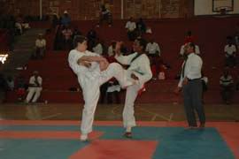 swazi karate 10